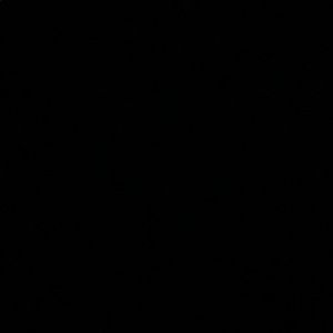 Meet your Posher, Jackson